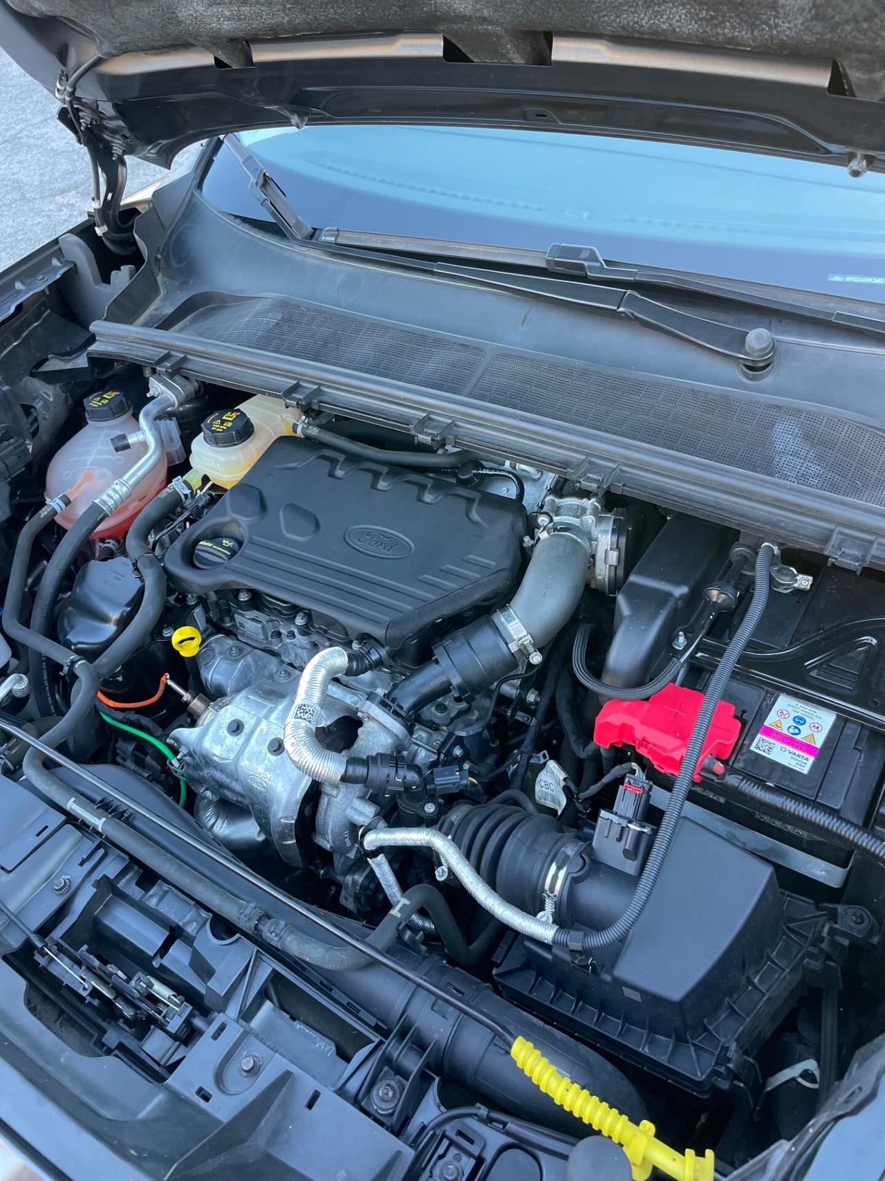 Ford Puma 1.5 EcoBlue 120 CV S&S Titanium