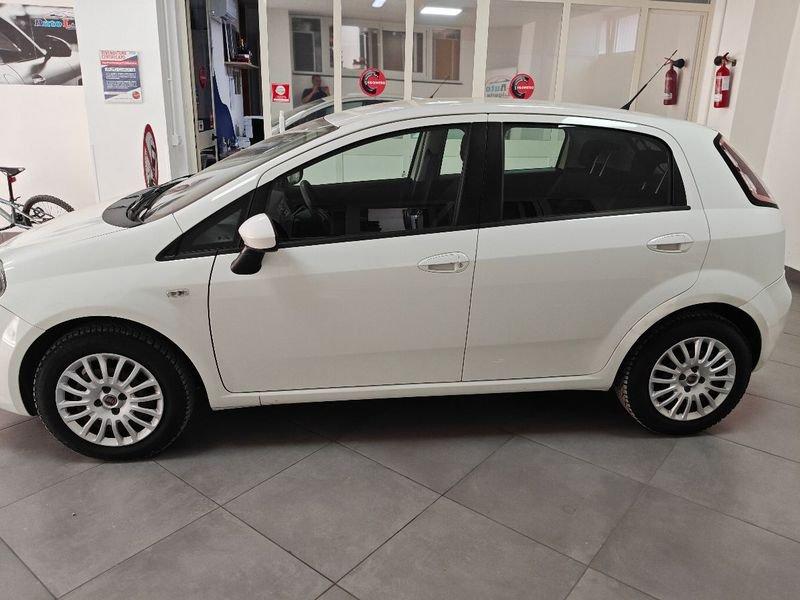 FIAT Punto Punto 1.3 MJT II 75 CV 5 porte Street