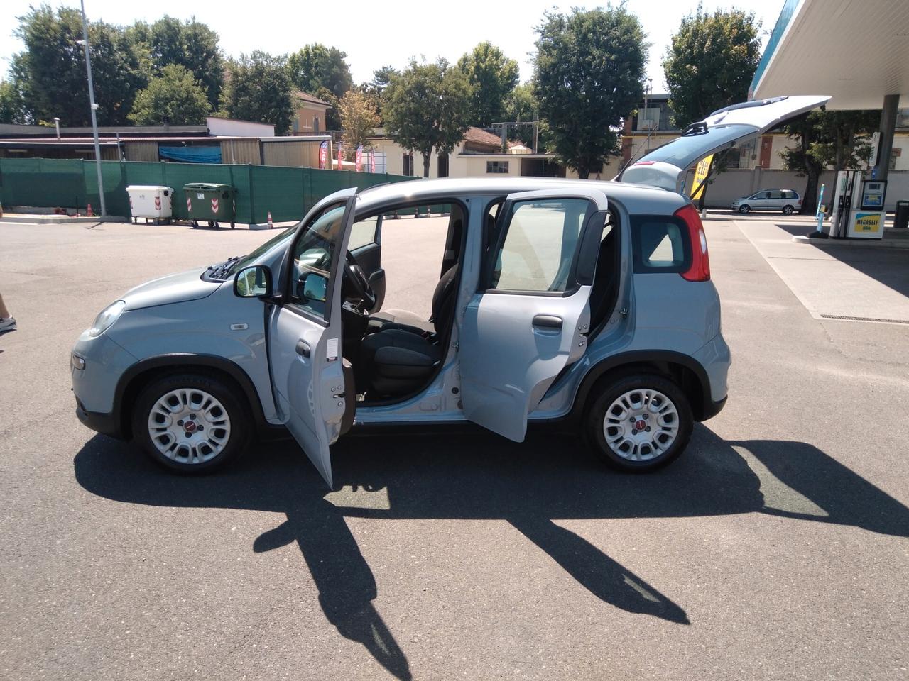 Fiat Panda 1.0 70cv FireFly S&S Hybrid x neopatentati