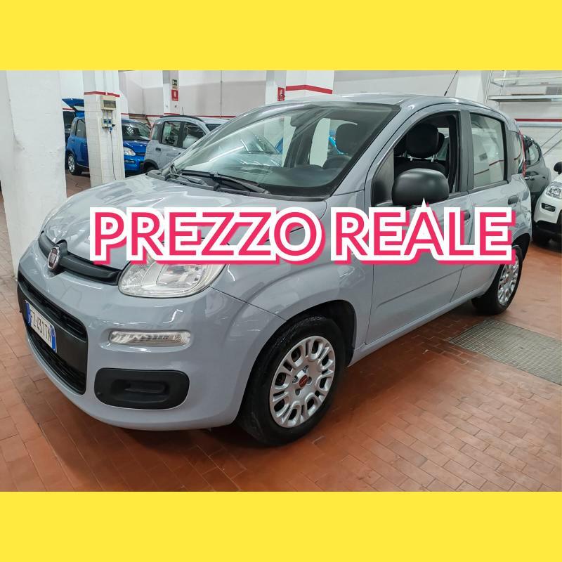 Fiat Panda 1.2 Easy 5POSTI COMANDI VOL. PREZZO REALE