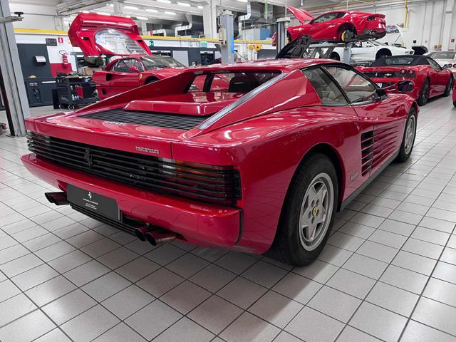 FERRARI Testarossa cat