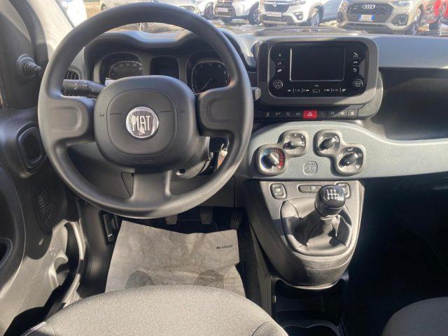 FIAT Panda 1.0 MILD- Hybrid VETRI OSCURATI