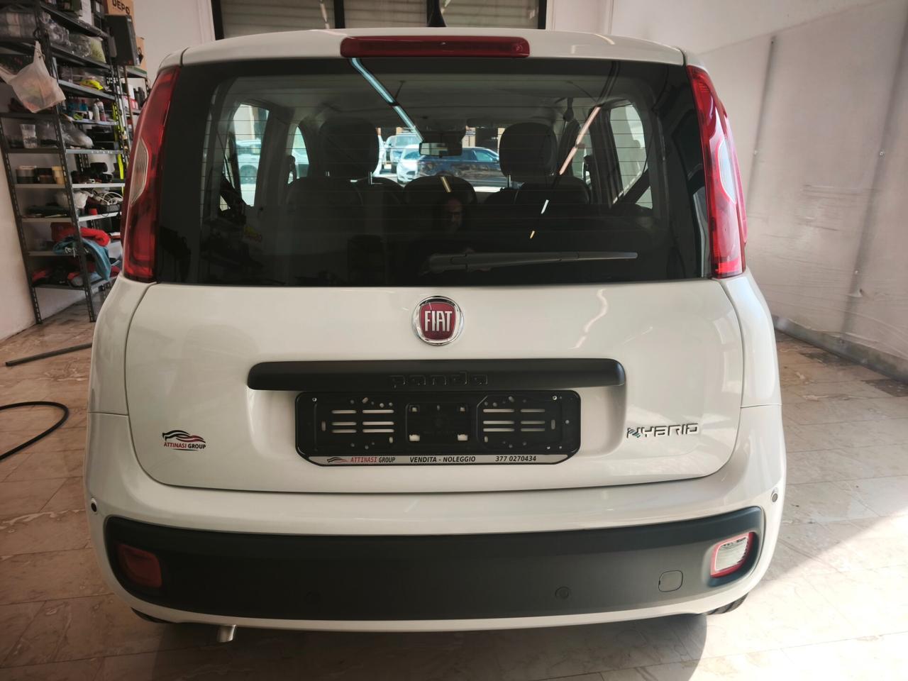 Fiat Panda Pandina 1.0 FireFly 65 CV Hybrid Icon