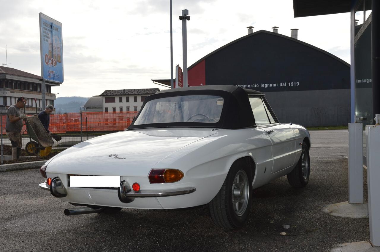 Duetto Osso Di Seppia 1.6