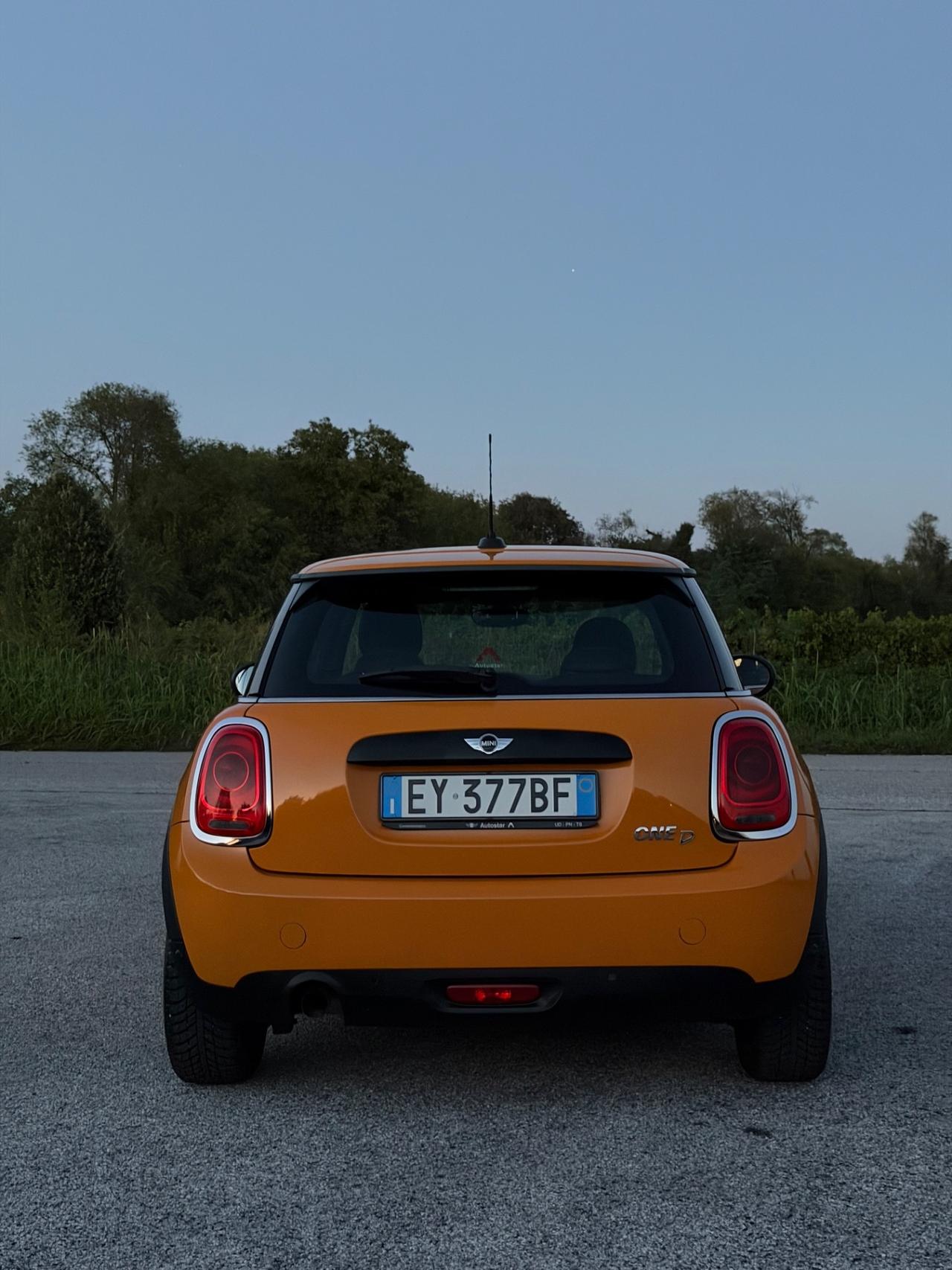 Mini 1.5 One D