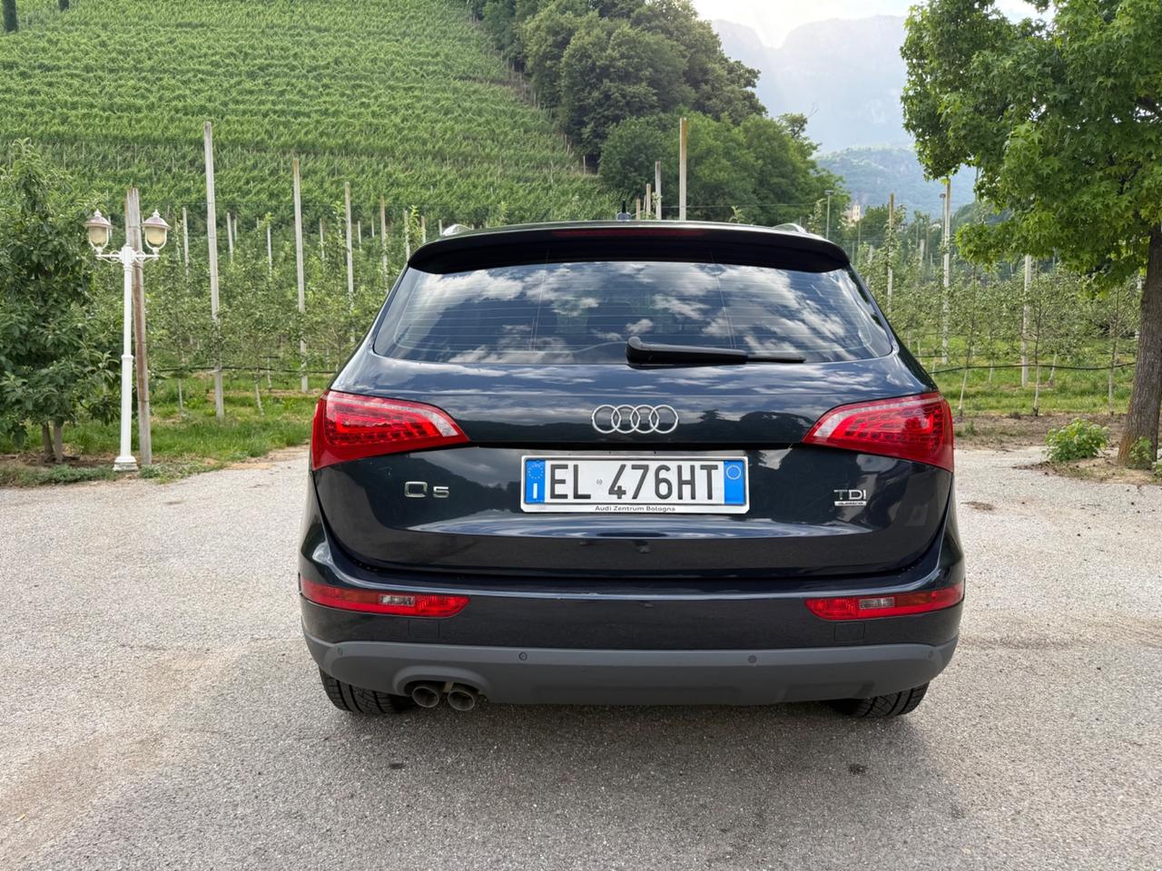 Audi Q5 2.0 TDI 170 CV quattro S tronic Advanced Plus