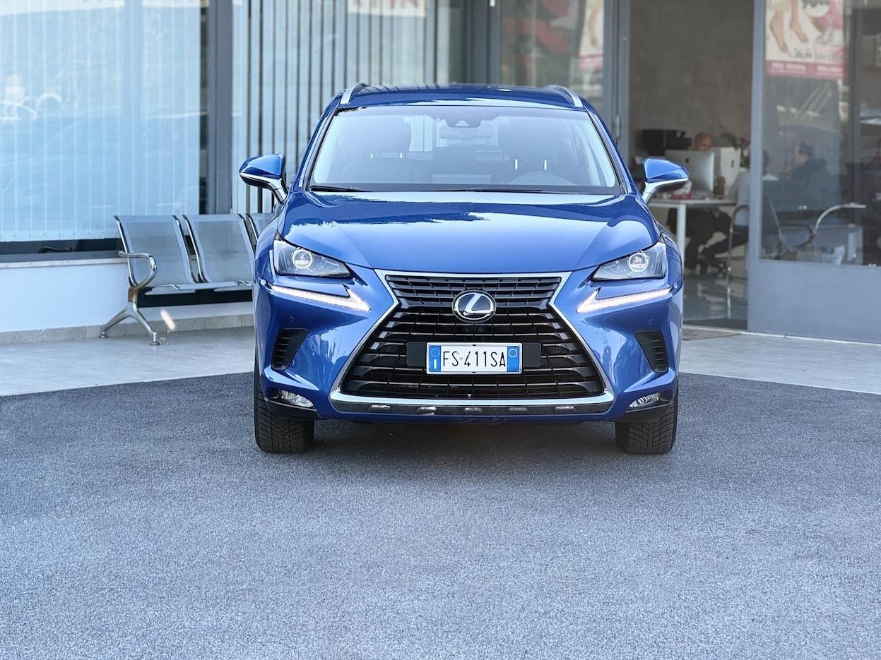 Lexus NX 300h 2.5 Hybrid 155CV E6 4WD Automatica - 2018