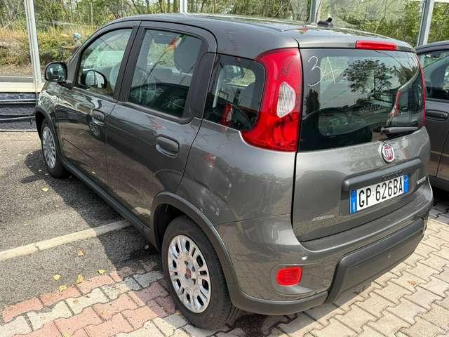 Fiat Panda Panda 1.0 firefly hybrid DISPONIBILI VARI COLORI