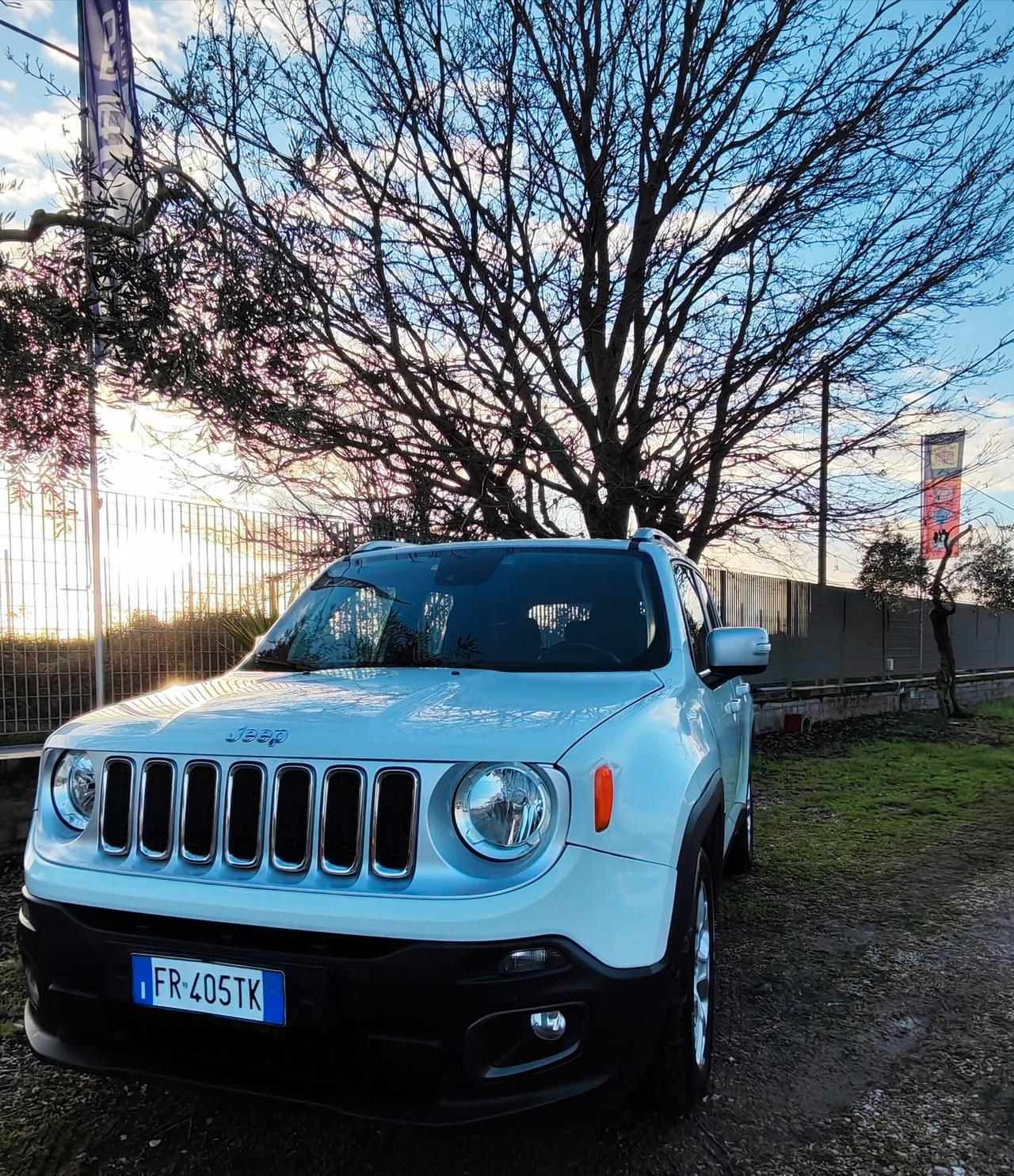 Jeep Renegade 1.6 Mjt 120 CV Longitude