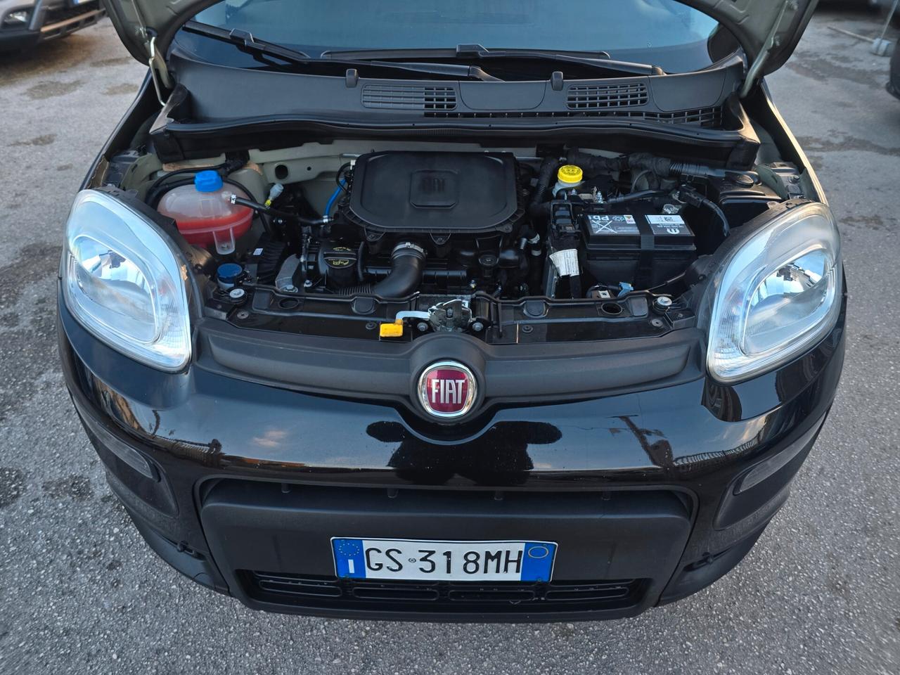 Fiat Panda 1.0 FireFly S&S Hybrid City Life