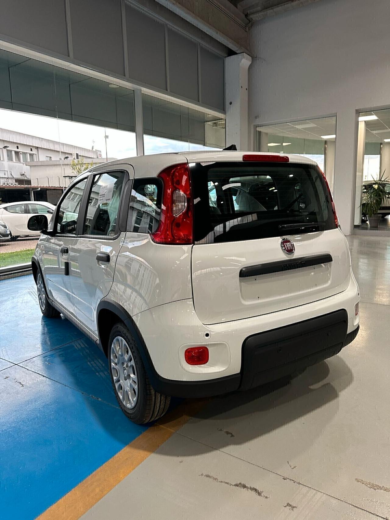 Fiat Panda 1.0 70cv Hybrid PANDINA KM 0 2024