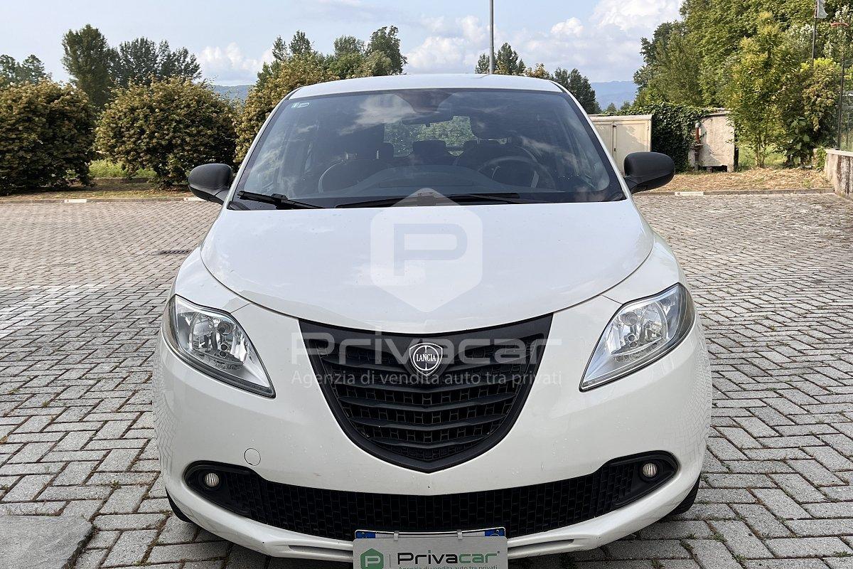 LANCIA Ypsilon 1.2 69 CV 5 porte GPL Ecochic Elefantino
