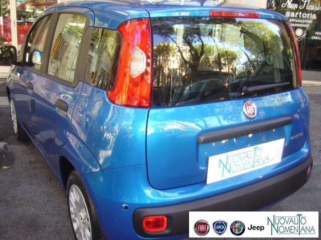 FIAT Panda 1.0 FireFly S&S Hybrid 5°posto Pack City Km0