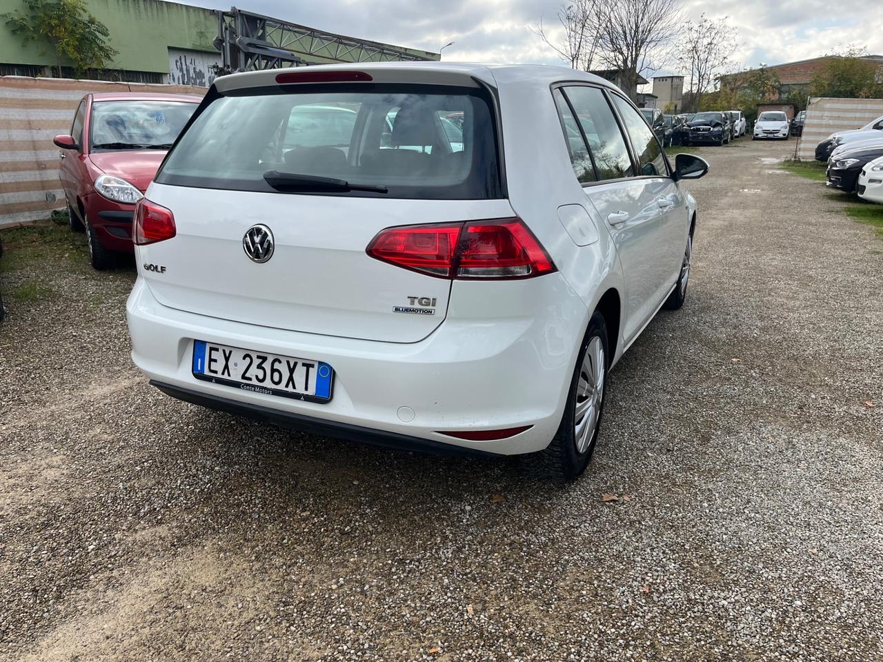 Volkswagen Golf Business 1.4 TGI 5p. Comfortline BlueMotion