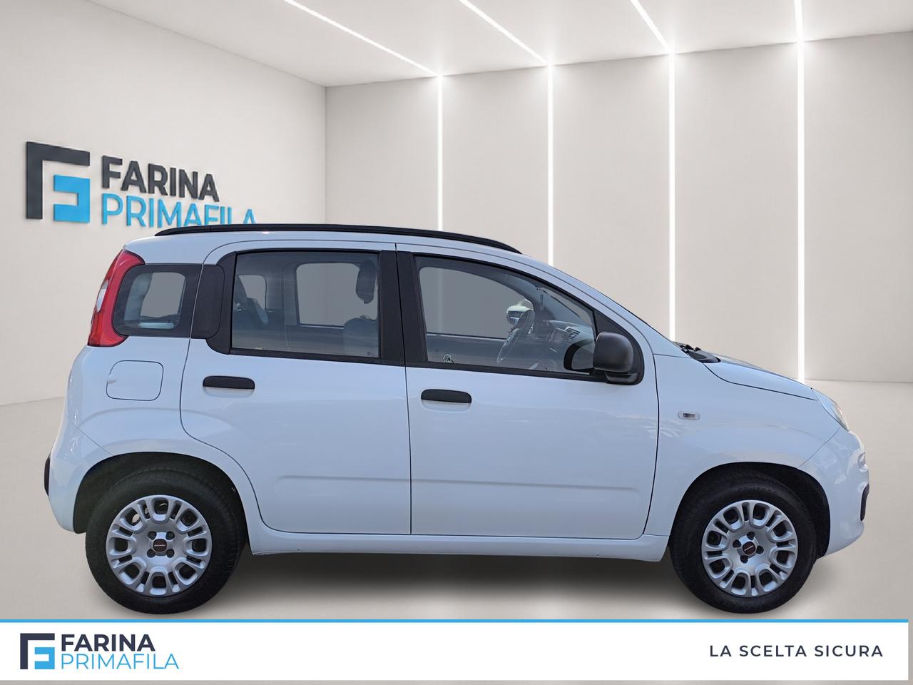 FIAT Panda III 2016 - Panda 1.2 Easy s&s 69cv my19