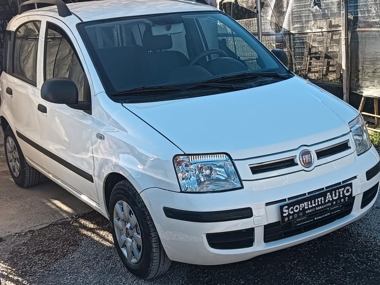 Fiat Panda 1.2 69cv Active