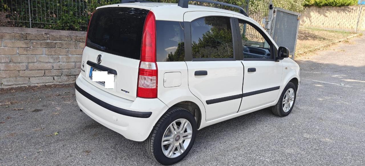 FIAT Panda 1.3 mjt 16v FRIZIONE NUOVA !