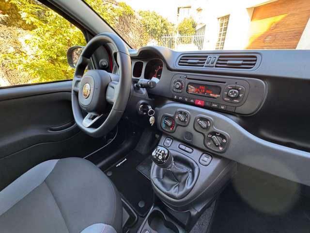 Fiat Panda 1.2 Easy *OK Neopatentati*