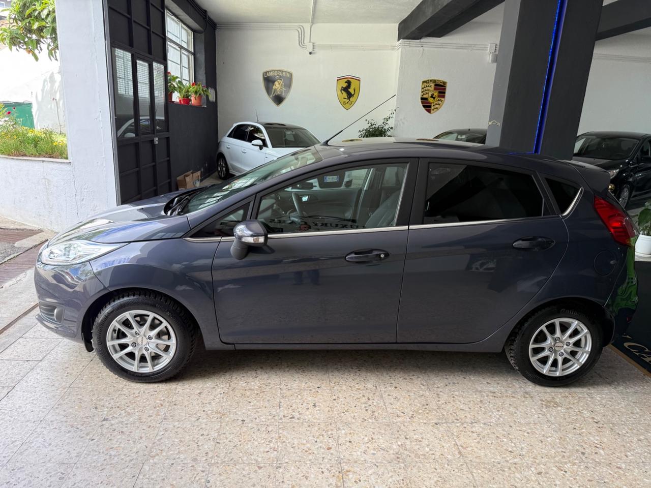 Ford Fiesta 1.5 TDCi 75CV 5 porte Titanium 2015
