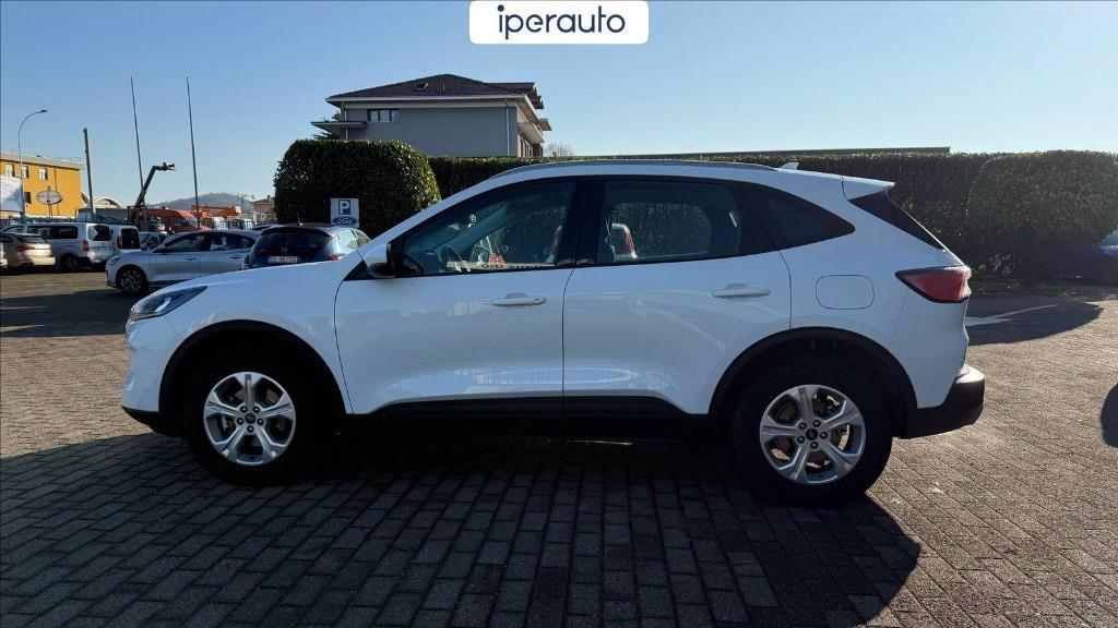 FORD Kuga 2.5 full hybrid Connect 2wd 190cv e-shifter del 2021