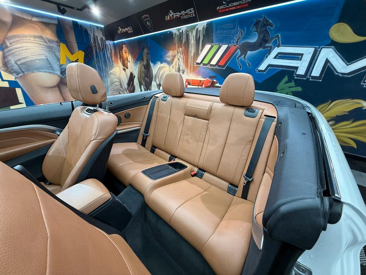 Bmw 420 420d Cabrio (730)