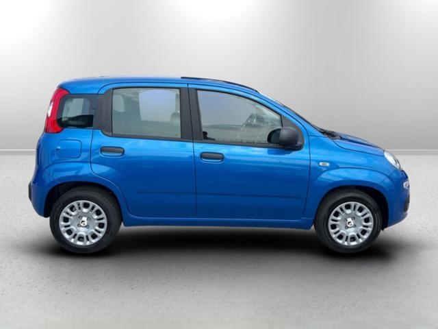 FIAT Panda 1.0 FireFly S&S Hybrid VARI COLORI