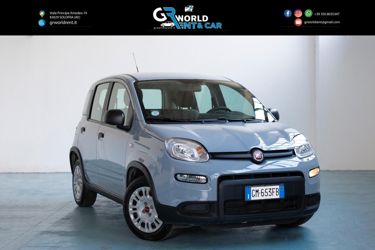 Fiat Panda 1.0 FireFly S&S Hybrid 70CV 2022 IVA ESPOSTA