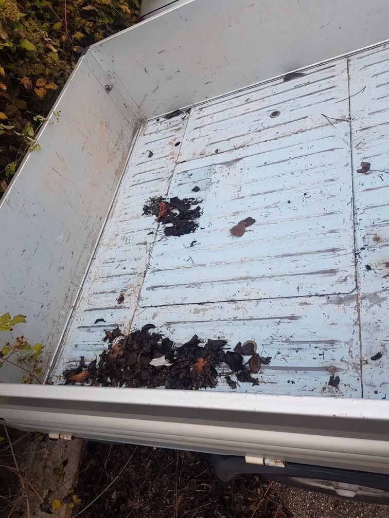 Piaggio Quargo 0.7 D