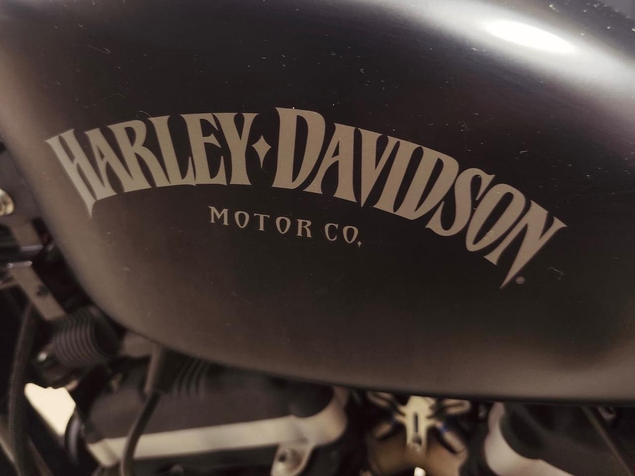 MERAVIGLIOSA HARLEY DAVIDSON SPORTSTER XL 883 IRON SPECIAL EDITION