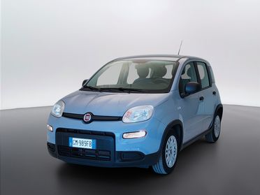 FIAT Panda III 2021 - Panda 1.0 firefly hybrid s&s 70cv