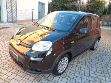 Fiat Panda 1.0 FireFly S&S Hybrid 5 posti