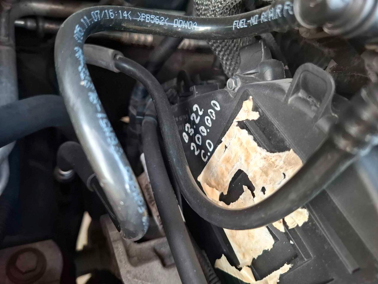 Ford C-Max 1.6 TDCi (90CV) Titanium - 2008