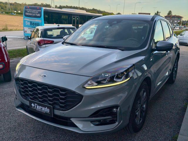 FORD Kuga 1.5 EcoBlue 120 CV 2WD ST-Line