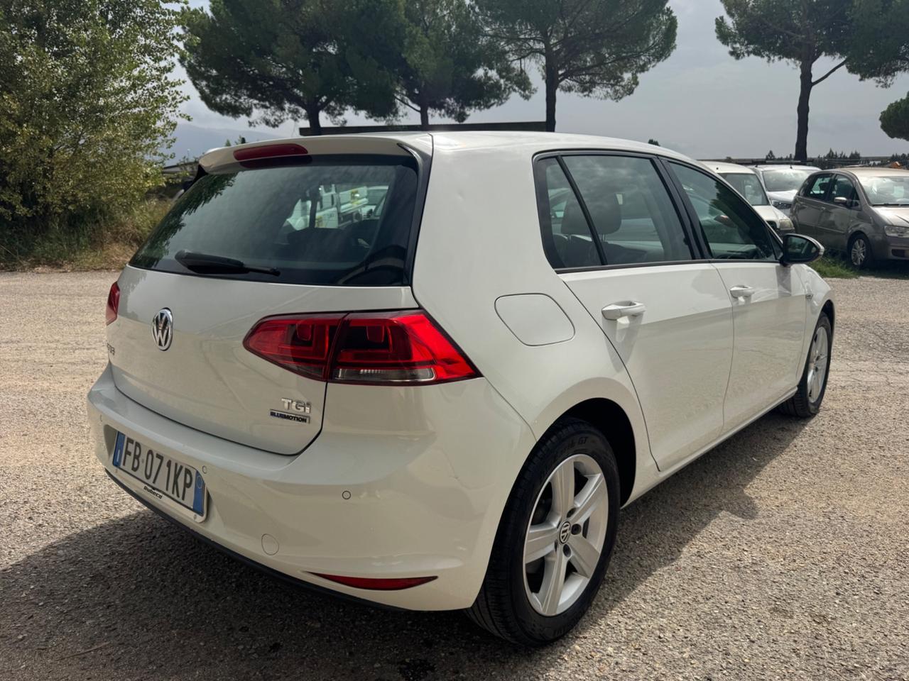 Volkswagen Golf 1.4 TGI 5p. Executive BlueMotion