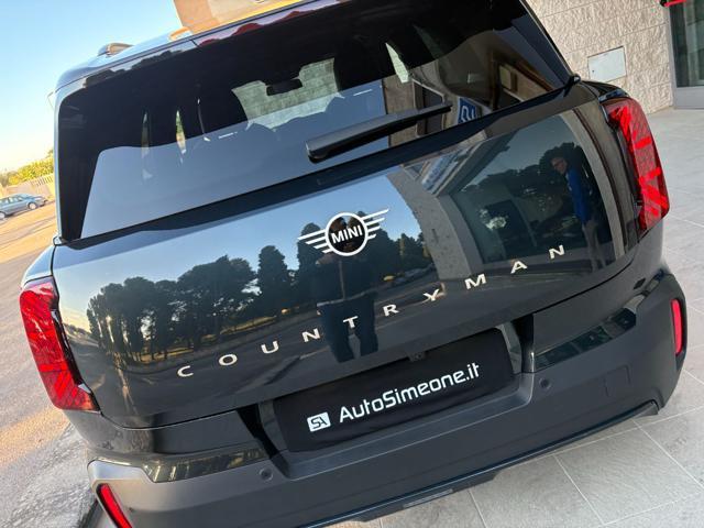 MINI Countryman D Classic Countryman CERCHI DA 19''.