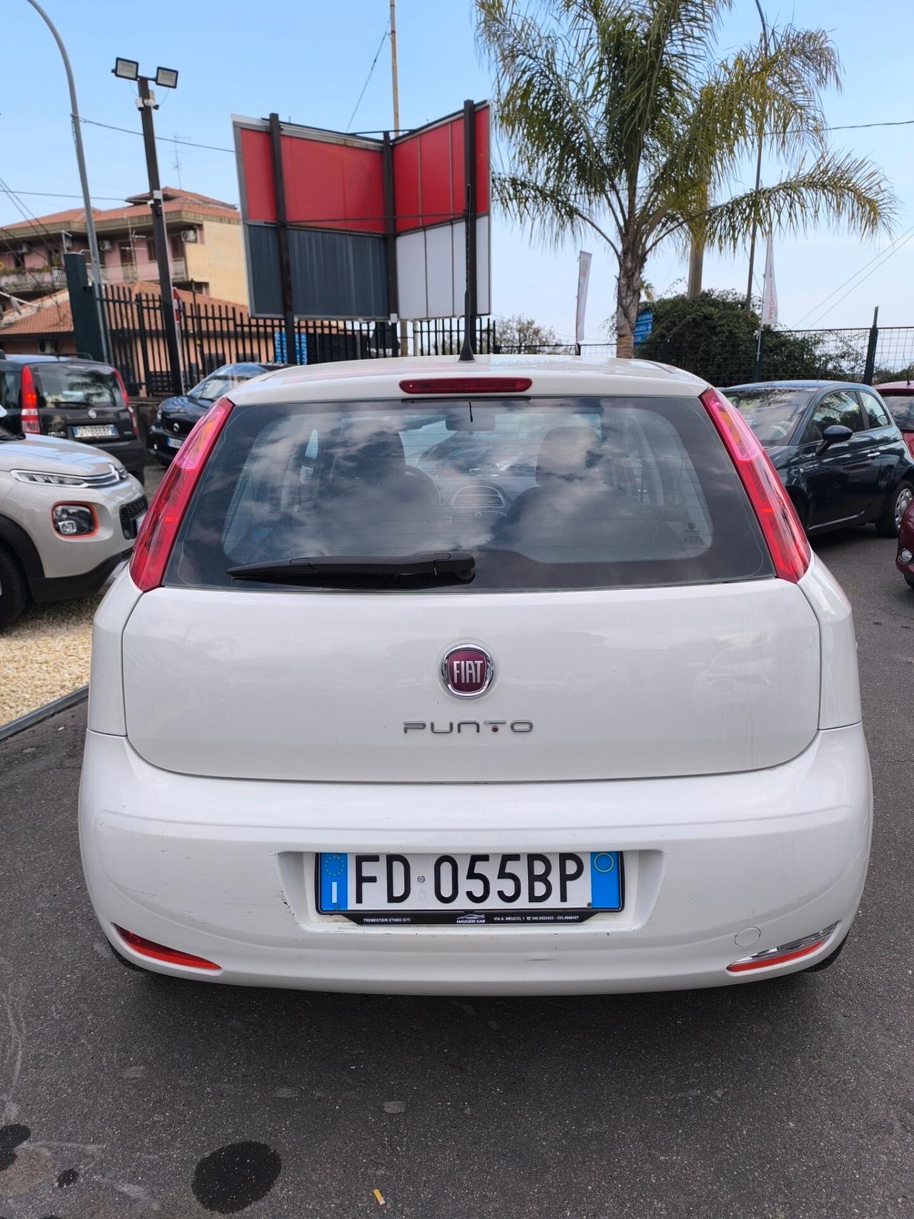 Fiat Punto 1.2 8V 5 porte Young