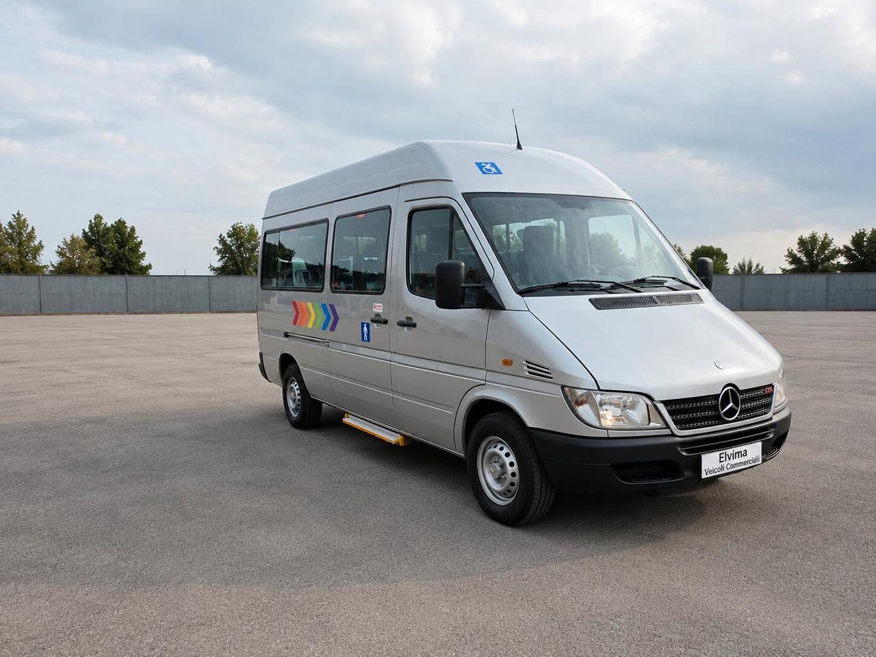 Mercedes Sprinter 311 - 9 Posti Trasporto Disabili
