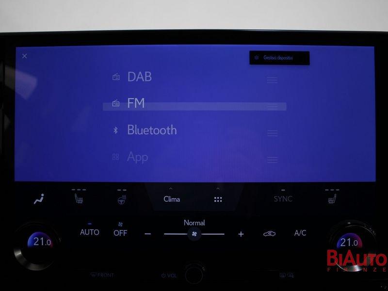 Lexus NX NX Plug-in 4WD Premium +