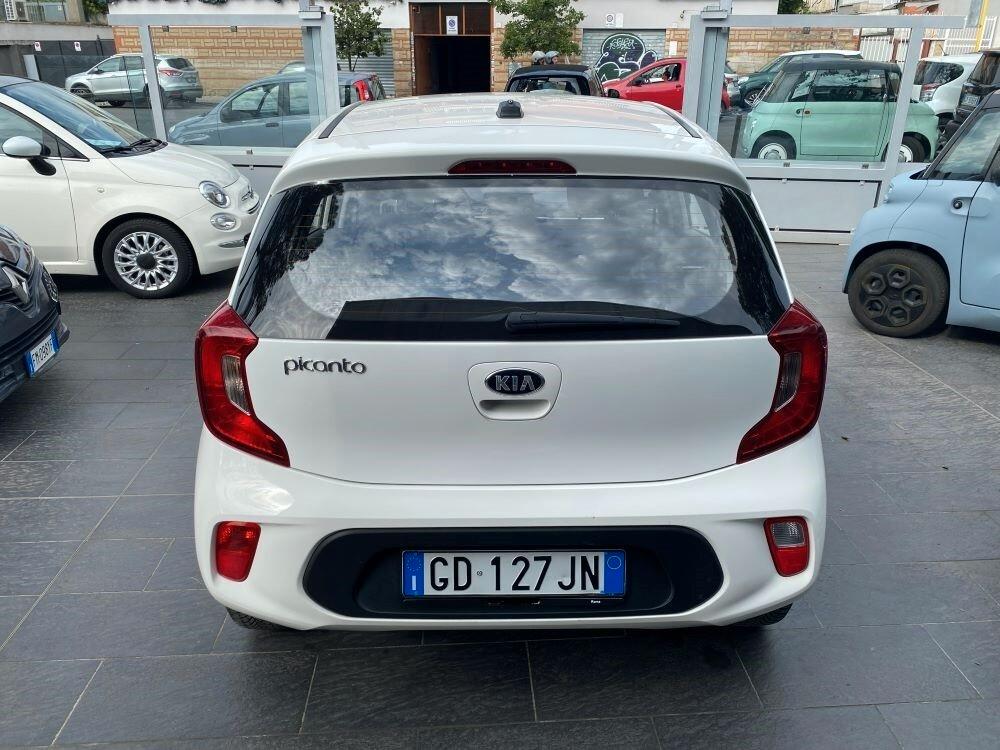 Kia Picanto 1.0 12V 5 porte Urban