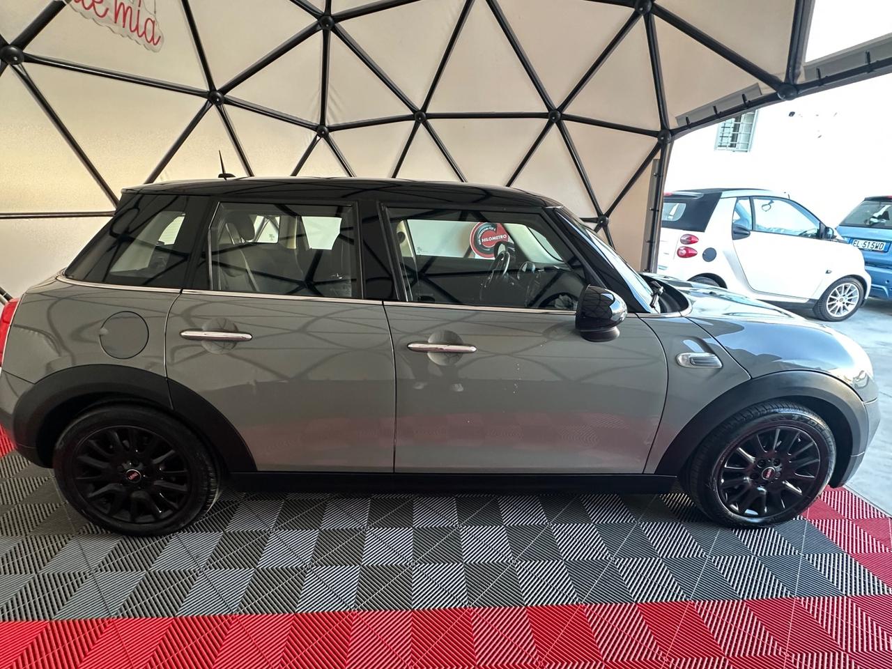 Mini 1.5 One D Hype