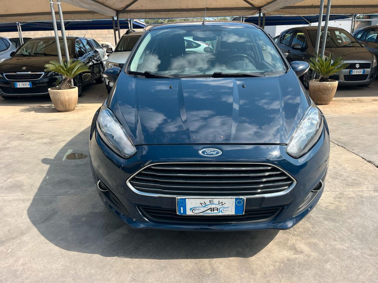 Ford Fiesta 1.5 TDCi 75CV 5 porte Black & White Edition