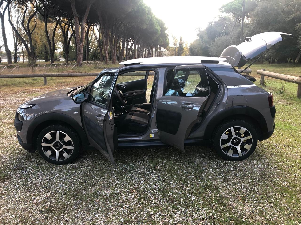 Citroen C4 Cactus PureTech 82 Shine