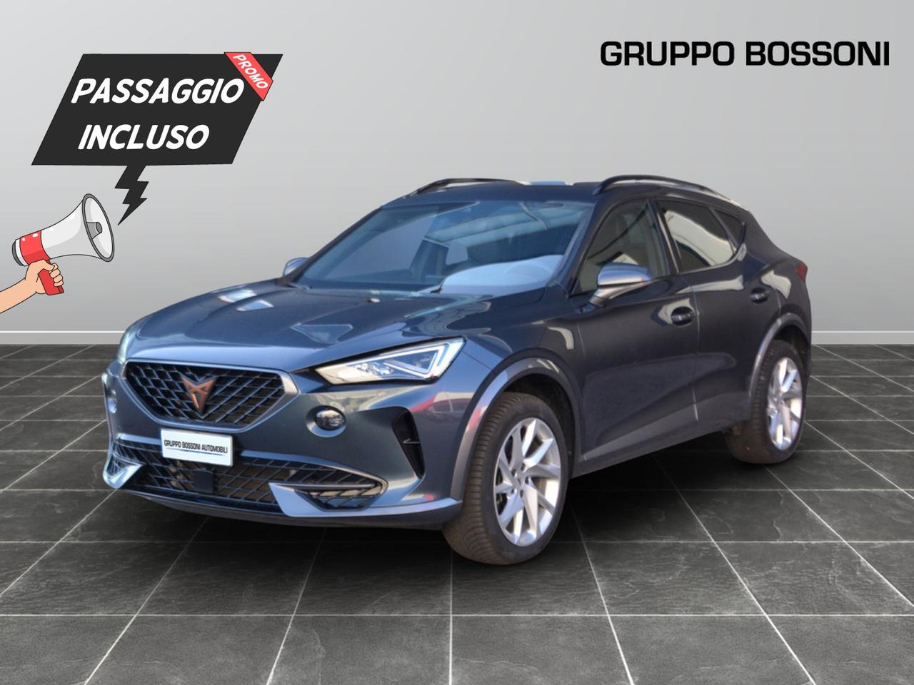 Cupra Formentor 2.0 tdi 150cv 4drive