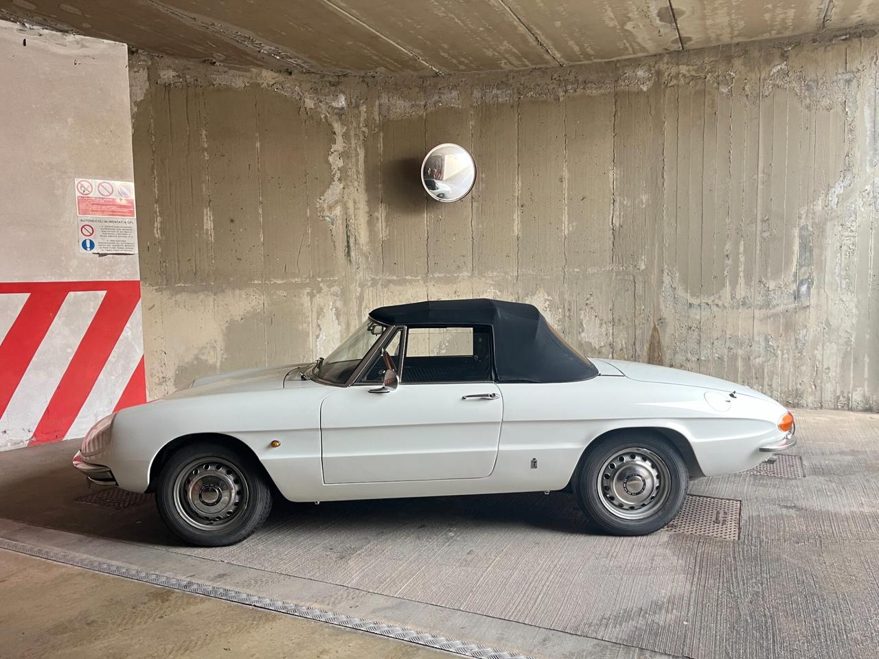 Alfa Romeo Spider 1750 Osso di seppia