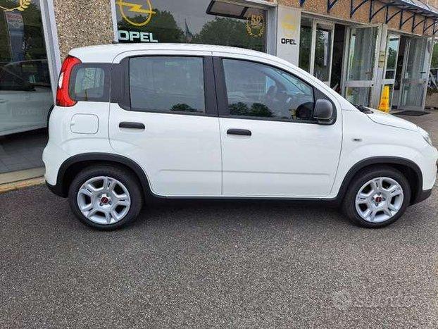 Fiat Panda Panda 1.0 firefly hybrid s