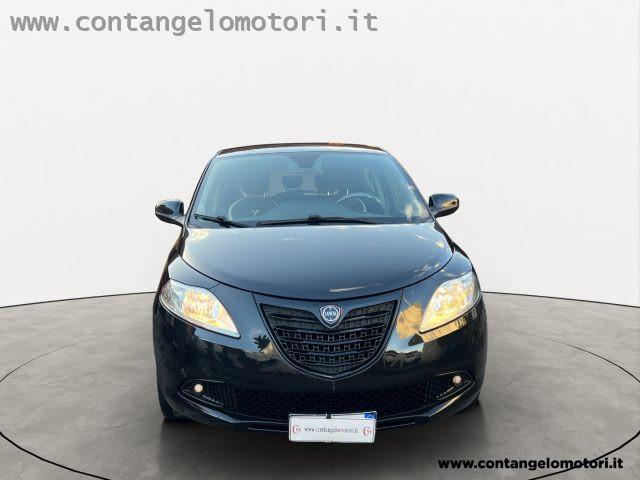 LANCIA Ypsilon 1.2 69 CV 5 porte Elefantino