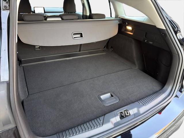FORD Focus 1.5 EcoBlue 120 CV Business