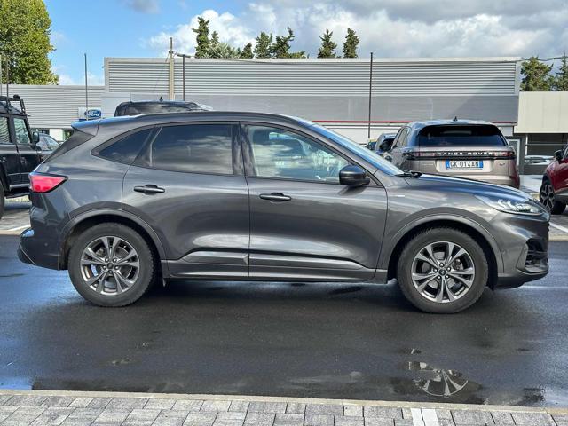 FORD Kuga 1.5 EcoBlue 120 CV 2WD ST-Line