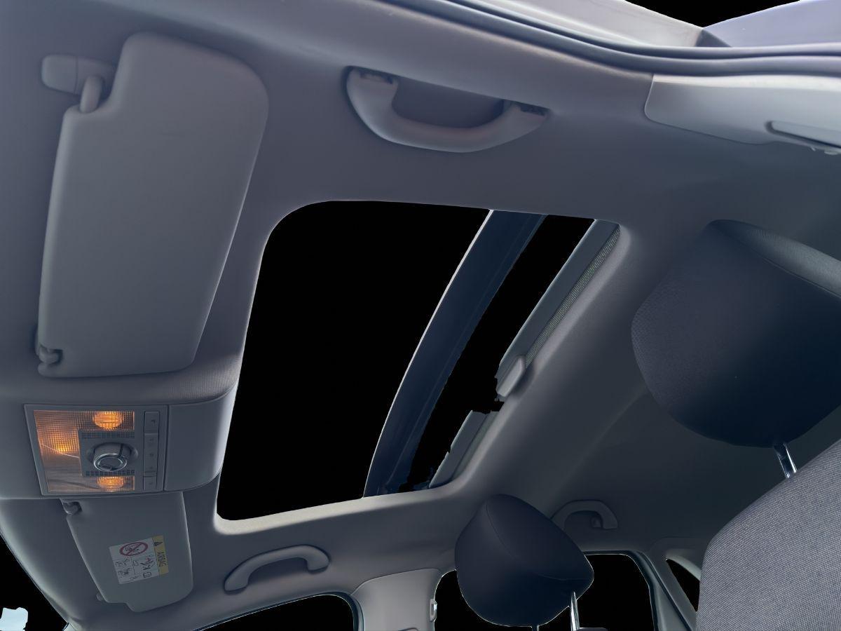 VOLKSWAGEN - Polo - 1.4 TDI 5p.BlueMotion Technology TETTO APRIBILE