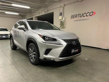 Lexus NX 1ª serie Hybrid 4WD Business